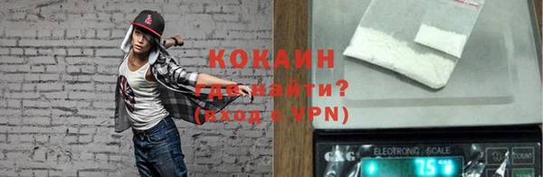 стафф Елизово