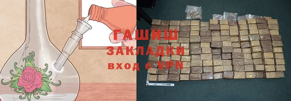 дмт Ельня