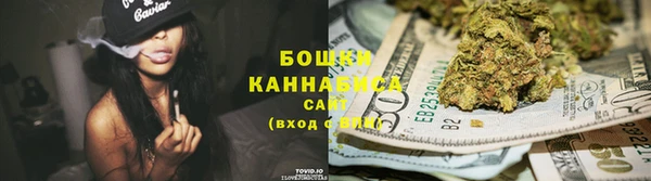 дмт Ельня