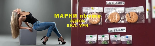 дмт Ельня