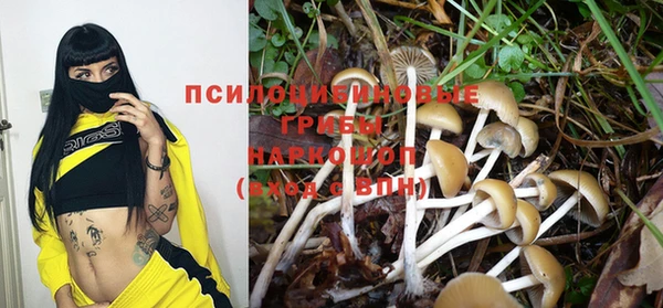 дмт Ельня