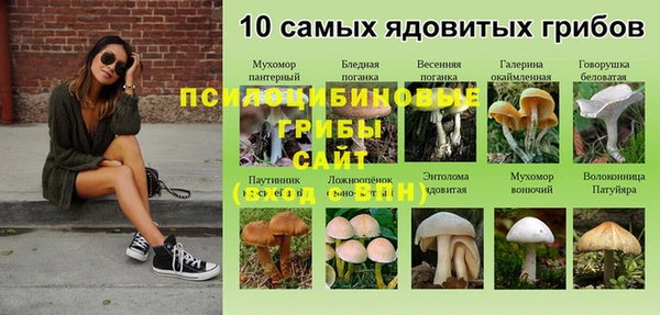 ГАЛЛЮЦИНОГЕННЫЕ ГРИБЫ Покров