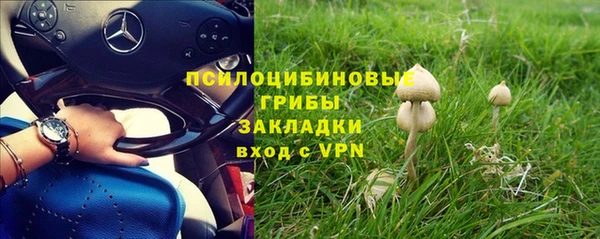 прущие крисы Покровск