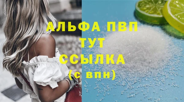 СК Елабуга