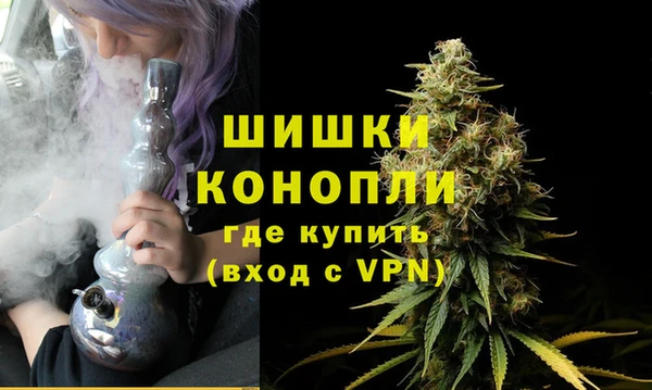дмт Ельня