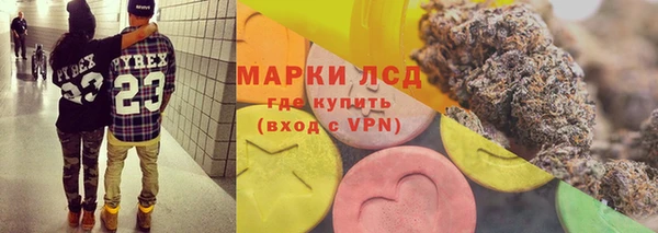ГАЛЛЮЦИНОГЕННЫЕ ГРИБЫ Покров