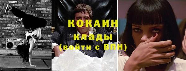 ГАЛЛЮЦИНОГЕННЫЕ ГРИБЫ Покров
