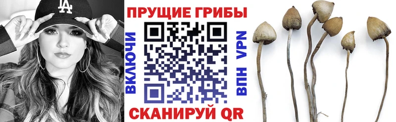 Галлюциногенные грибы мицелий  купить закладку  Ефремов 